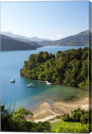 Framed Whenuanui, Becks Bay, Marlborough Sounds, South Island, New Zealand Print