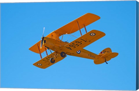 Framed De Havilland DH 82A Tiger Moth Biplane, Warbirds over Wanaka, Airshow, New Zealand Print