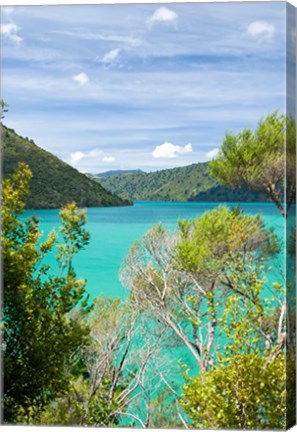 Framed New Zealand, South Island, Marlborough, Nydia Bay Print