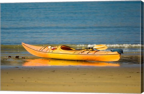 Framed New Zealand, South Island, Titirangi Bay, Kayaking Print