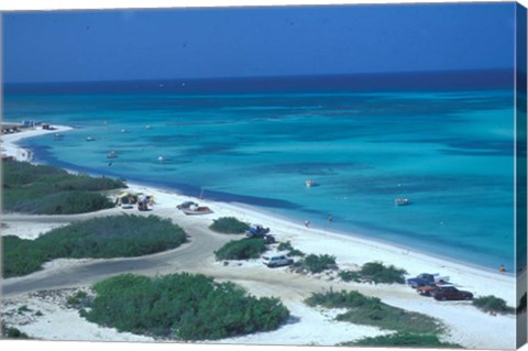 Framed Palm Beach,  Aruba, Caribbean Print