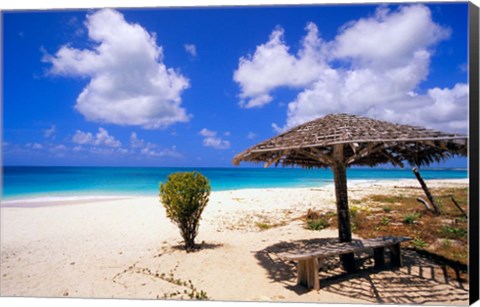 Framed Coco Point Beach, Barbuda, Antigua Print