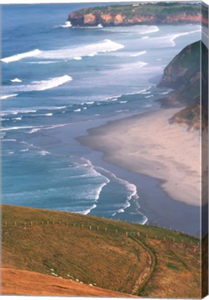 Framed New Zealand, South Island, Otago Coast Print