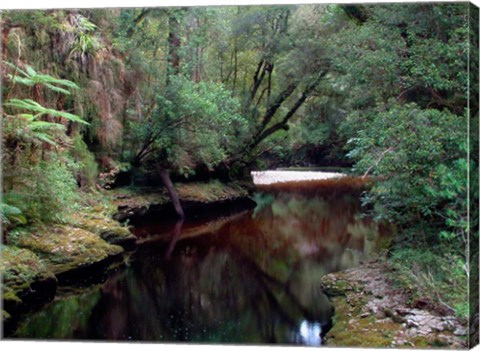 Framed Oparara River, Oparara Basin, New Zealand Print