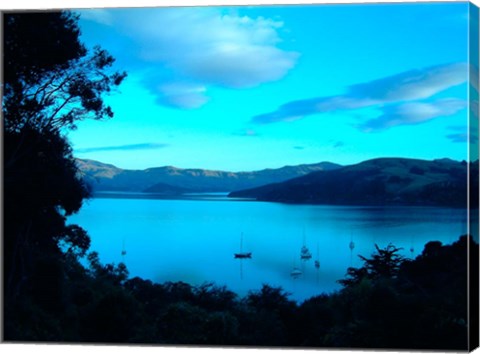 Framed Sailboats at Anchor, Akaroa Peninsula, New Zealand Print