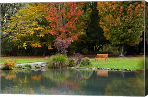 Framed Autumn Color in Hagley Park, Christchurch, Canterbury, New Zealand Print