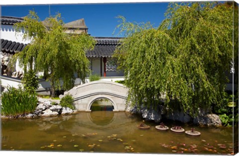 Framed Chinese Gardens, Dunedin, South Island, New Zealand Print