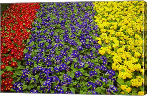 Framed Flower garden at Dunedin Railway Station, South Island, New Zealand Print