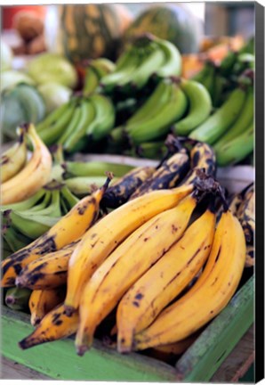 Framed Fresh bananas at the local market in St John&#39;s, Antigua Print