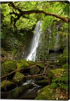 Framed Matai Falls, Catlins, South Otago, South Island, New Zealand Print
