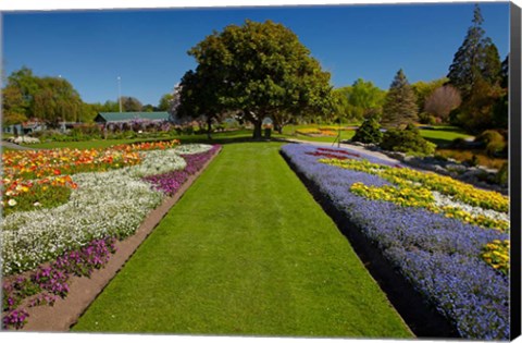 Framed Pollard Park, Blenheim, Marlborough, New Zealand Print