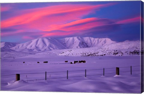 Framed Sunset over Hawkdun Range and farmland, Maniototo, Otago, New Zealand Print