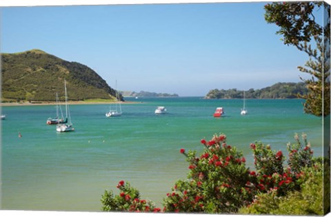 Framed Yachts moored in Waipiro Bay, North Island, New Zealand Print