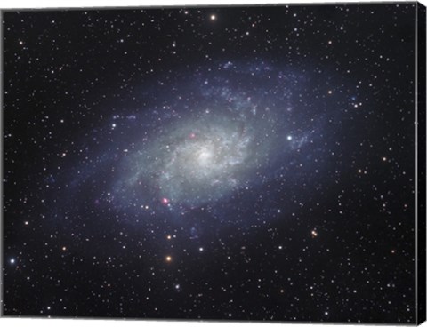 Framed Triangulum Galaxy Print