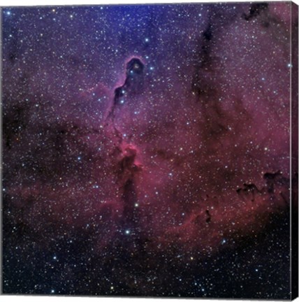 Framed Elephant Trunk Nebula Print