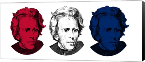 Framed Andrew Jackson in Red, White and Blue Print