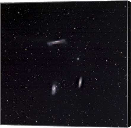 Framed Leo Triplet Print