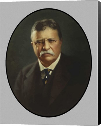 Framed President Theodore Roosevelt Print