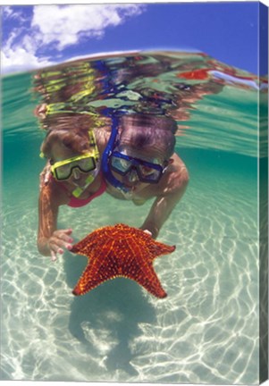 Framed Snorkeling in the Blue Waters of the Bahamas Print