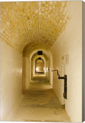 Framed Bermuda, Exhibits inside Fort St Catherine Print