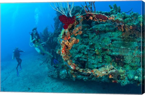 Framed Wreck of the RMS Rhone, Coast of Salt Island, near Tortola, British Virgin Islands Print