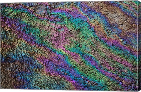 Framed Motor oil creating rainbow pattern on pavement, Havana, Cuba Print