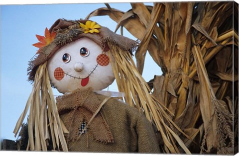 Framed Scarecrow and Dead Corn Husks, Carnation, Washington Print