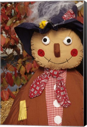 Framed Stuffed Scarecrow on Display at Halloween, Washington Print