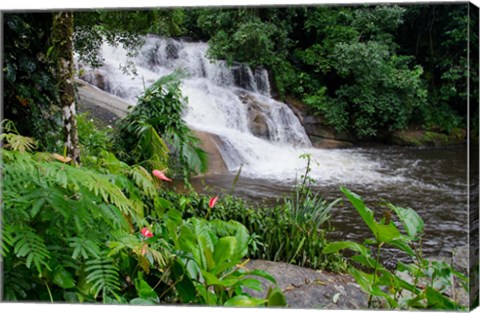 Framed Rainforest waterfall, Serra da Bocaina NP, Parati, Brazil (horizontal) Print