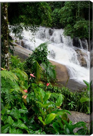 Framed Rainforest waterfall, Serra da Bocaina NP, Parati, Brazil (vertical) Print