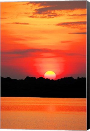 Framed Amazon Jungle, Brazil, Sunset Print