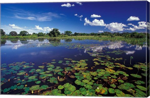 Framed Waterways in Pantanal, Brazil Print