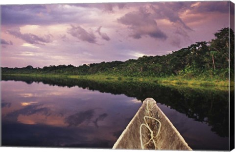 Framed Paddling a dugout canoe, Amazon basin, Ecuador Print