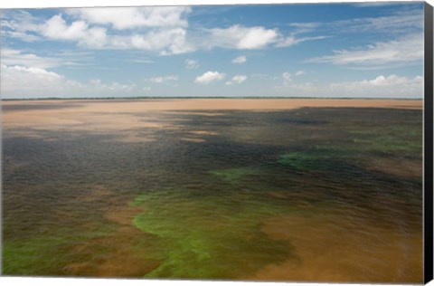 Framed Brazil, Amazon River, Algae bloom Print