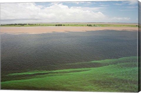 Framed Brazil, Amazon River, Santarem Meeting of the Waters Algae bloom Print