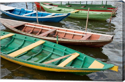 Framed Colorful local wooden fishing boats, Alter Do Chao, Amazon, Brazil Print