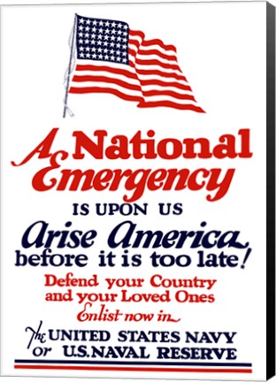 Framed National emergency, Arise America Print