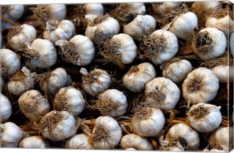 Framed Cuba, Santa Clara Garlic Cloves for sale in a local street market Print