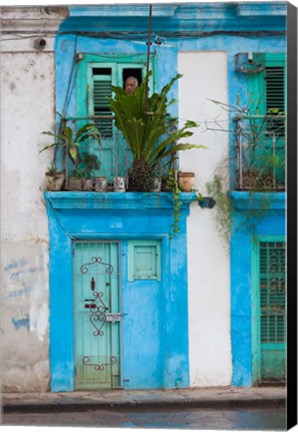 Framed Cuba, Havana, Havana Vieja, Blue building Print