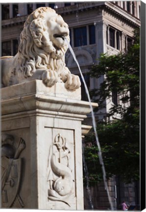 Framed Cuba, Havana, Plaza de San Francisco de Asis Lion fountain Print