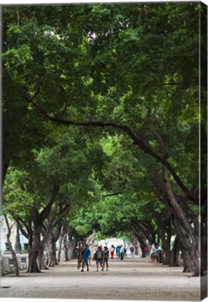 Framed Cuba, Havana, Havana Vieja, Paseo de Marti walkway Print