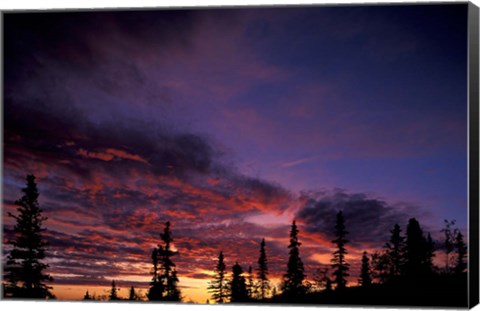 Framed Solstice Sunset atop Midnight Dome, Dawson City, Yukon, Canada Print