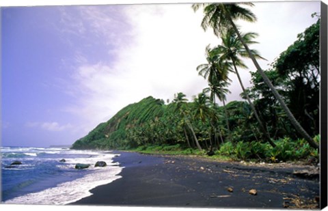 Framed Black Sand Beach, Dominica Print