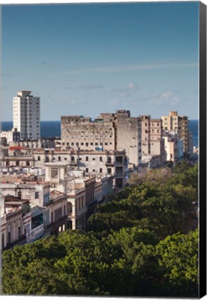 Framed Cuba, Havana, Paseo de Marti, late afternoon Print