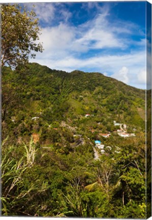 Framed Dominica, Roseau, Grand Bay Area, Petite Savanne Print