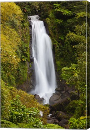 Framed Dominica, Roseau, Trafalgar Waterfalls Print