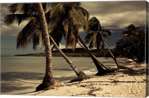 Framed Playa Rincon beach, Las Galeras, Samana Peninsula, Dominican Republic Print