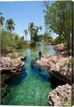 Framed Alligator Hole, Black River Town, Jamaica, Caribbean Print