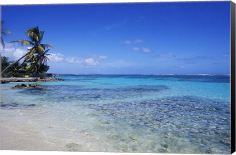 Framed Beach and Palms in Sainte Anne, Guadeloupe Print