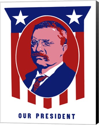 Framed Theodore Roosevelt - Our President Print